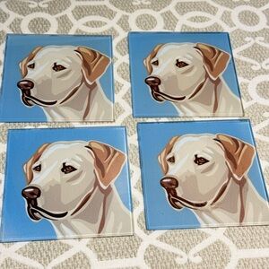 Coasters Labrador Yellow Printed in Full Color Gloss finish Non-Slip Base Qty 4
